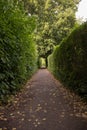 Green passage way with cupressus tree. Beautiful passage way trough park. Secret, mysteruous Green park path