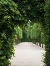 Green passageway Royalty Free Stock Photo