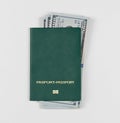 Green passport on a white background