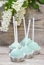 Green pastel cake pops on wooden table Royalty Free Stock Photo