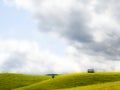 Green pasture Royalty Free Stock Photo