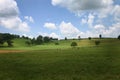 Green Pasture Royalty Free Stock Photo