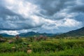 Green pasture with flowers and mountains in distance, dark clouds Royalty Free Stock Photo