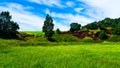 Beautiful Green Pastures Island of Hawaii Royalty Free Stock Photo