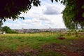 Green Pasture and Skyline from Pederneiras, Brazil