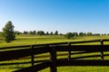 Green pastures of horse farms. Country summer landscape. Royalty Free Stock Photo