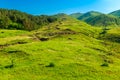 Green pastures on the slopes of the Caucasus Mountains in June, the landscape