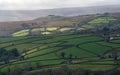 Green patchwork of fields at Widecombe Dartmoor.