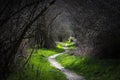 A green path crossing the sickles of the DuratÃÂ³n river, Segovia, Spain Royalty Free Stock Photo