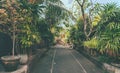 Green pathway to clean up toxic ground in bali Royalty Free Stock Photo