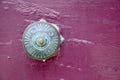 Green Patina: Antique Door Handle Royalty Free Stock Photo