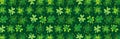 Green Patricks Day greeting banner with green clovers. Patrick`s Day holiday design. Horizontal background, headers, posters,