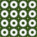 Green pattern background symmetry kaleidoscope. boohoo Royalty Free Stock Photo