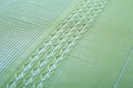 Green pattern canvas background Royalty Free Stock Photo