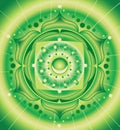 Green pattern, mandala of anahata chakra Royalty Free Stock Photo