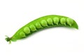 Green pea Royalty Free Stock Photo
