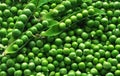 Green pea Royalty Free Stock Photo