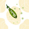 Green pea abstraction on a colored background Royalty Free Stock Photo