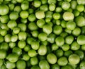 Green pea background