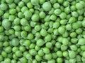 Green pea background . Texture of ripe green peas Royalty Free Stock Photo