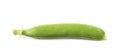 Green pea bean isolated Royalty Free Stock Photo