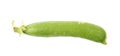 Green pea bean isolated Royalty Free Stock Photo