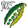 Green pea color engraved