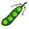 Green pea Royalty Free Stock Photo