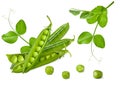 Green pea isolated. Group of fresh ripe raw peas pods and open beans with leaves on stem isolated on white background Royalty Free Stock Photo