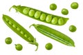 Green pea isolated. Set of green fresh raw peas open pod with beans isolated on white background Royalty Free Stock Photo