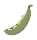 Green pea. Pod of green peas. Flat cartoon style icon. Healthy food vegetable concept Royalty Free Stock Photo