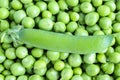 Green pea pod on a pile of peas, concept macro of organic food Royalty Free Stock Photo