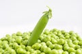 Green pea pod sticking out of a pile of peas, concept macro of organic food Royalty Free Stock Photo