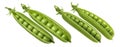 Green pea pod together set isolated on white background Royalty Free Stock Photo