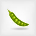 Green pea pod