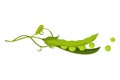 Green pea pod. Vegetable icon. Element for packaging and menu design. Natural green healthy eco product. Vector