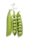 Green pea pods with open pod and peas on white background Royalty Free Stock Photo