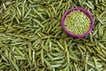 Green pea pods and peas Royalty Free Stock Photo