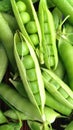 Green pea pods green peas Royalty Free Stock Photo