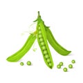 Green pea pods Royalty Free Stock Photo