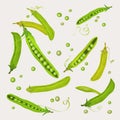 Green pea pods Royalty Free Stock Photo