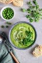 Green pea puree soup with greens Royalty Free Stock Photo