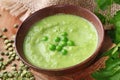 Green pea soup Royalty Free Stock Photo