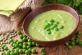 Green pea soup Royalty Free Stock Photo