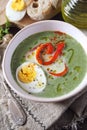 Green pea soup with spinach. Olive oil, red grilled bell pepper and half of boiled egg dressing Royalty Free Stock Photo