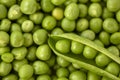 Peas in a pod Royalty Free Stock Photo