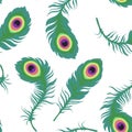 Green peacock feathers on white, seamless pattern, cartoon vector Royalty Free Stock Photo
