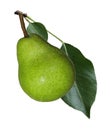 Green Pear Royalty Free Stock Photo