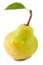 Green pear with leaf