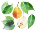 Green pear leaves and pear fruit on white background.